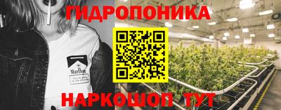 герыч Можга