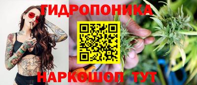 крисы Моздок