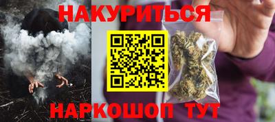 крисы Моздок