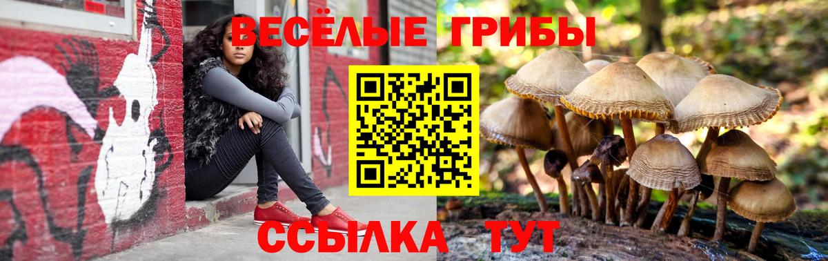 Галлюциногенные грибы MAGIC MUSHROOMS Юрга